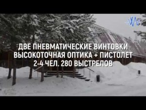 Две пневматические винтовки высокоточная оптика + пистолет 2-4 чел 280 выст #АХАА