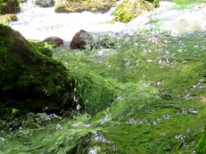 Изумрудные воды реки Кучук-Карасу.