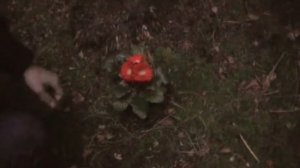 Goethe - Gefunden (1810) *Verfilmt*