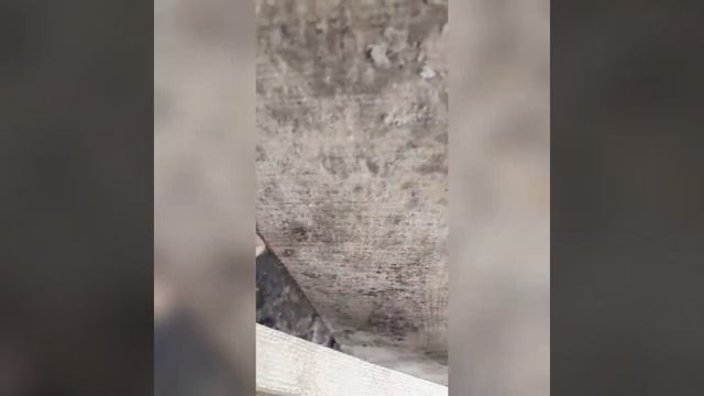 куб ДОСКИ из Горбыля циркуляркой за 1000 рублей!!!самодельный кромкообрезной станок. смотреть онлайн