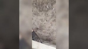 куб ДОСКИ из Горбыля циркуляркой за 1000 рублей!!!самодельный кромкообрезной станок.
