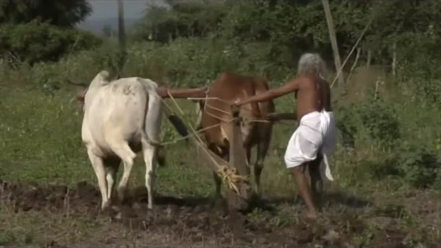 55. Sahaj yogi phulajibaba смотреть онлайн