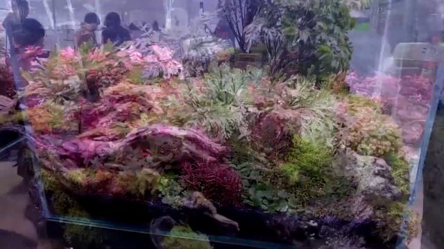 Нитрит и Нитрат в аквариумной воде Норма, влияние, контроль NO2 и NO3 смотреть онлайн