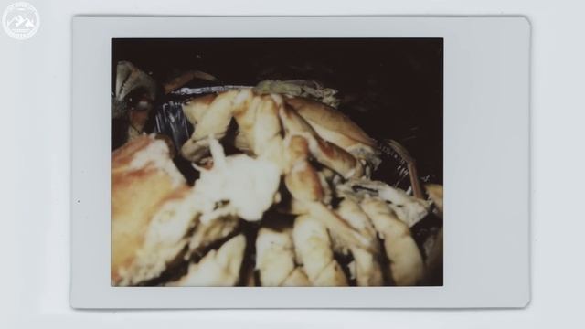 WATCH BEFORE YOU BUY - Fujifilm Instax Mini 90 Neo Classic смотреть онлайн