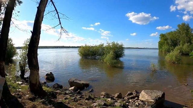 Рыбалка с берега в черте города Новосибирска! Окунь на отводной поводок и поппер! смотреть онлайн