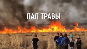 Пал травы. На территории Орехово-Зуевского округа введен особый противопожарный режим