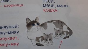 татарско-русский словарь - 4 В КАРТИНКАХ Tatar Cinema International