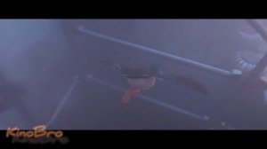 МИГРАЦИЯ (2023)