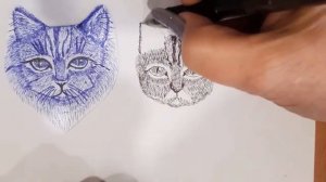 Как я рисую  шариковой ручкой голову  котенка.Легко и  просто.