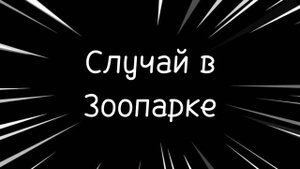 Любаша – Случай в Зоопарке