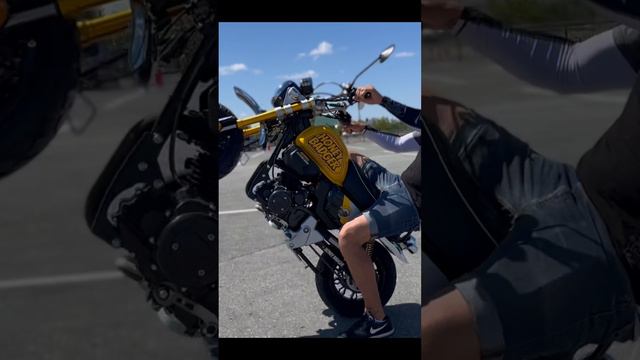 Motoland monkey shorts