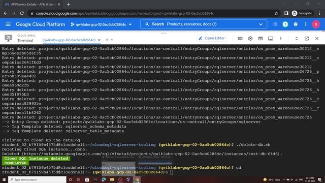 Build and Execute MySQL, PostgreSQL, and SQLServer to Data Catalog Connectors || [GSP814] смотреть онлайн