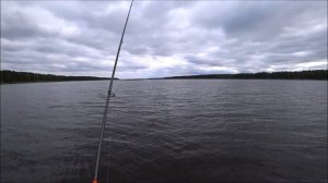 Рыбалка, грибалка, отдых на природе.  Весьегонск, Рыбинское водохранилище