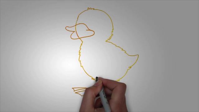 Картинки птиц. КАК карандашом НАРИСОВАТЬ ПТИЦУ