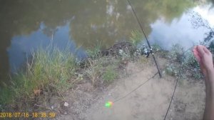 Ловля сома на малой реке