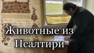 Змий сей, егоже создал еси ругатися ему.mp4