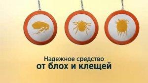 Симпарика - таблетки против блох и клещей для собак