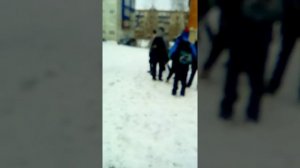 Пацаны начали дратся на улице после школы