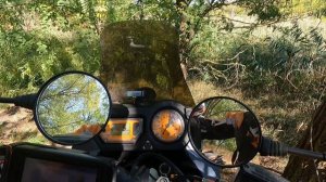 Тренировочный выезд на Дон25