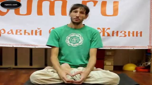 Андрей Верба - Собака Шарипутры смотреть онлайн