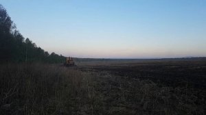 Разработка стерни для посадки овса