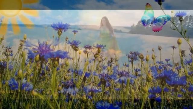 Гарна Українська народна пісня .Ой волошки волошки.