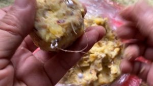 Vietnamese Carp Bait -  الطعم الفيتنامي لصيد سمك الشبوط - Вьетнамская карповая приманка