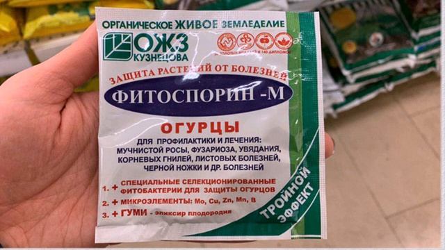 ЖЕЛТЕЮТ ЛИСТЬЯ ОГУРЦОВ - СУПЕР СРЕДСТВО ЙОД И МОЛОКО Что делать, желтеют и вянут листья у огурцов?