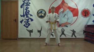 Татэ цуки в перемещении в дзенкуцу дачи. Кихон 8 кю Киокусинкай каратэ