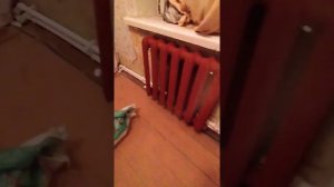 Отопление в частном доме за 85 тысяч рублей под ключ.