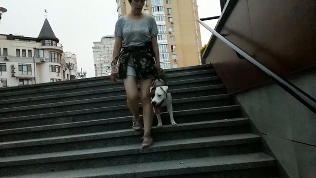 Учимся ходить по лестнице) смотреть онлайн