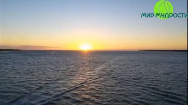 За пределами Сознания Муджи и НикОшо аудиокнига смотреть онлайн