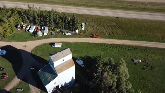 Отчаянная волчица попросила детей спасти её волчонка, застрявшего на гнилом мосту. Это было не все. смотреть онлайн