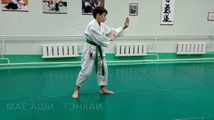 Перемещения в айкидо