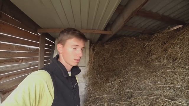 ОБМАН ИЛИ УЛЬТРАЗВУКОВОЙ ОТПУГИВАТЕЛЬ ГРЫЗУНОВ