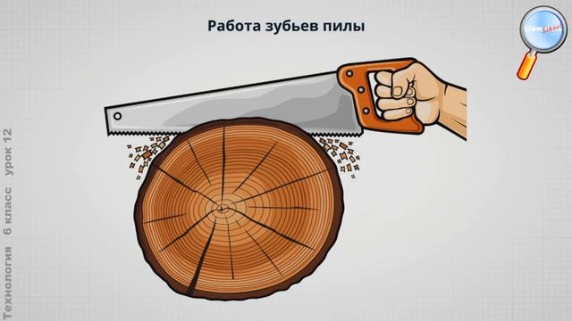 Технология 6 класс (Урок№12 - Технологии ручной обработки древесных материалов. Резание.)