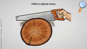Технология 6 класс (Урок№12 - Технологии ручной обработки древесных материалов. Резание.)