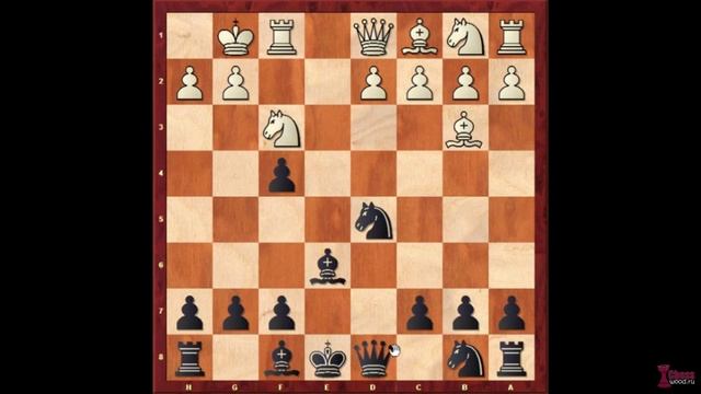 Контргамбит Фалькбеера - играем чёрными против королевского гамбита