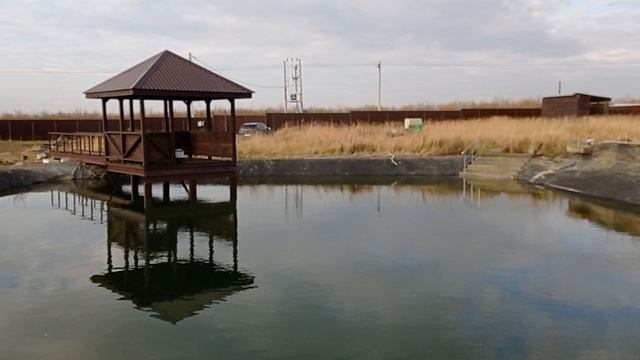 Наш пруд- ноябрь 2023 года