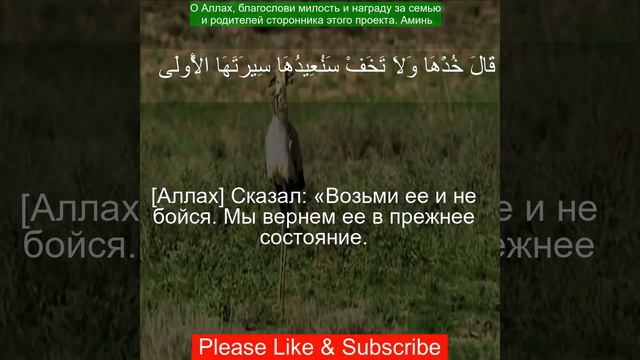 Коран Сура Таха 1-45  | Чтение Корана с русским переводом| Quran Translation in Russian