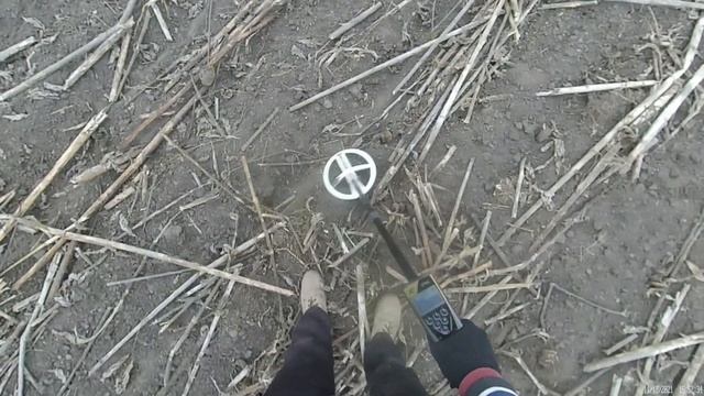 Что найдёт XP ORX после камрадов?! смотреть онлайн