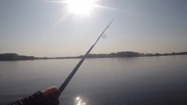 Ловля осеннего СУДАКА на ЯУЗЕ!!! СУДАК НА ДЖИГ!!! Спиннинг на Яузском вдхр!!!