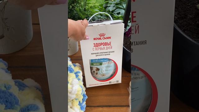 Ореанда,последние минуты в нашем доме,Мама встречай,лёгкой дорожки тебе моя радость ❤️ смотреть онлайн