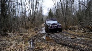 Линия Пантеры