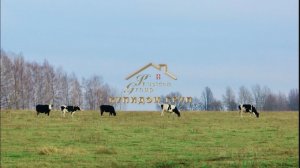 СЧАСТЛИВАЯ ФАЗЕНДА