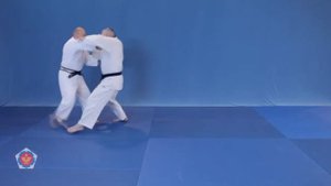 (Ёко отоши) Yoko otoshi - боковая подножка на пятке седом