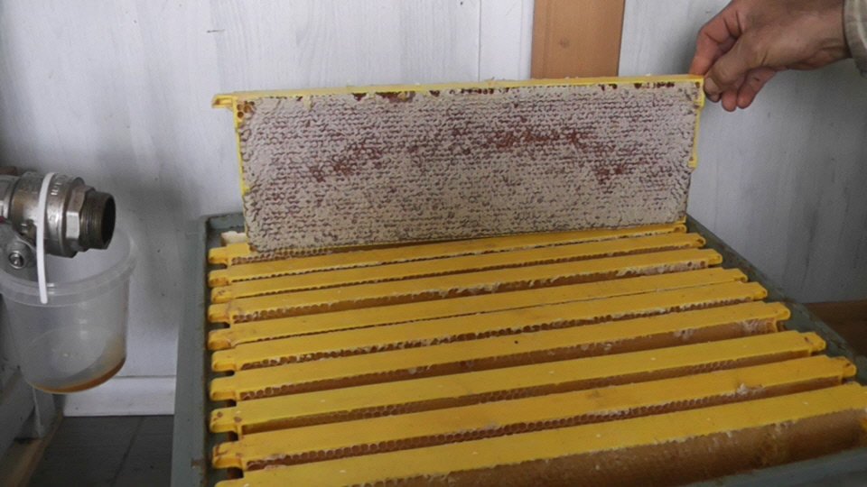 впечатление от пластиковых рамок смотреть онлайн