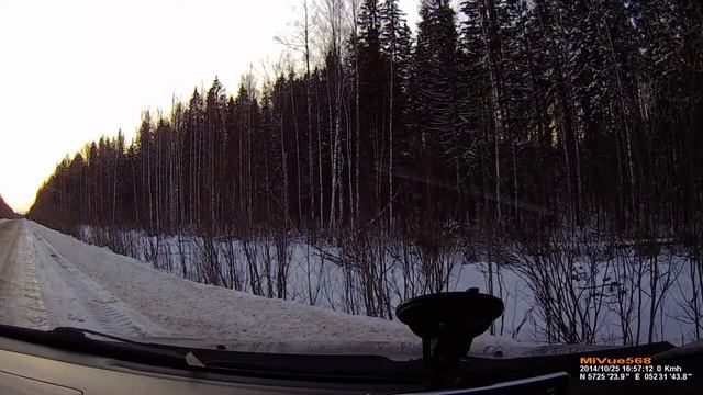 Лось на дороге. 25 октября 2014. Удмуртия. смотреть онлайн