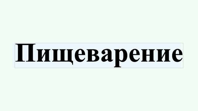 Пищеварение