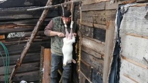 Разделка кролика в домашних условиях / обучающее видео. / Слабонервным не смотреть.
